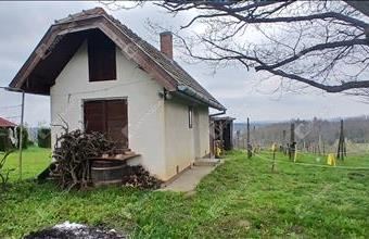 Eladó Nagypáli egyéb telek hirdetés (39376976)