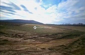 Eladó Fóti külterületi telek hirdetés (84864527)