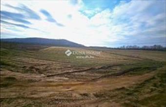 Eladó Fóti külterületi telek hirdetés (54426915)