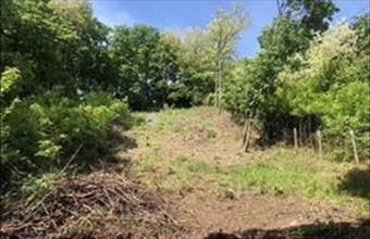 Eladó Pomázi egyéb telek hirdetés (47674565)