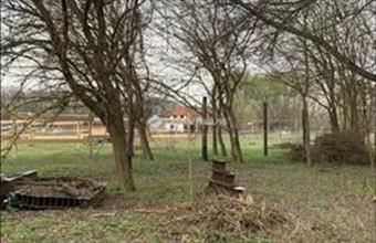 Eladó Őrbottyáni külterületi telek hirdetés (52645335)