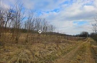 Eladó Fóti külterületi telek hirdetés (35335483)