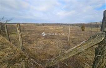 Eladó Fóti külterületi telek hirdetés (34972535)