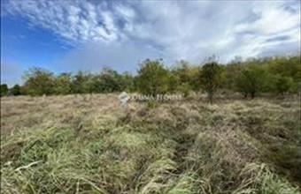 Eladó Csömöri külterületi telek hirdetés (26621477)