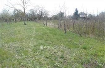 Eladó Kaposvári külterületi telek hirdetés (48473378)