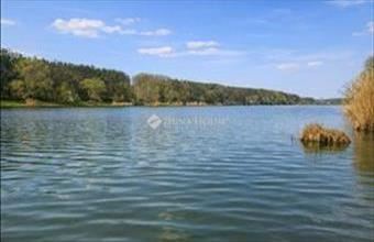 Eladó Gombai hétvégi ház hirdetés (79435449)