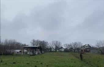 Eladó Tóalmási üdülőövezeti telek hirdetés (43419868)