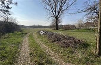 Eladó Nyáregyházai lakóövezeti telek hirdetés (57982974)