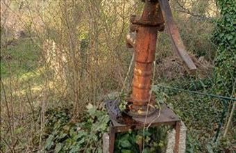 Eladó Pilisvörösvári egyéb mezőgazdasági ingatlan hirdetés (64465385)