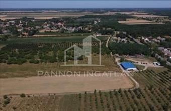 Eladó Csikvándi külterületi telek hirdetés (73444485)