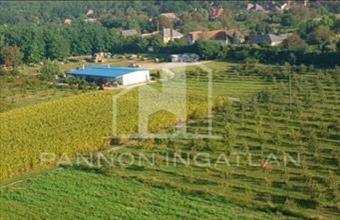 Eladó Csikvándi külterületi telek hirdetés (27274634)