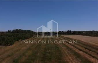 Eladó Csikvándi egyéb mezőgazdasági ingatlan hirdetés (82357381)