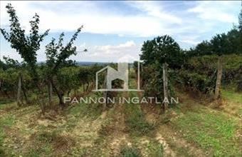 Eladó Vanyolai zártkert hirdetés (32533191)