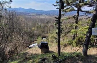 Eladó Budapest II. kerületi külterületi telek hirdetés (94379417)