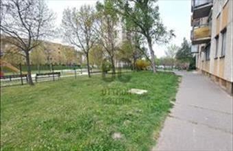 Kiadó Budapest XV. kerületi panel lakás hirdetés (86416862)