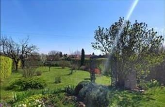 Eladó Kaposvári családi ház hirdetés (53753336)