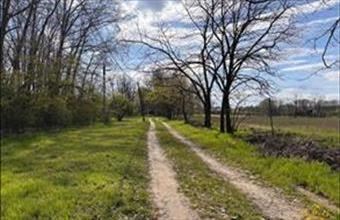 Eladó Bugyi termőföld, szántó hirdetés (62419834)