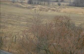 Kiadó Kerepesi családi ház hirdetés (92959632)