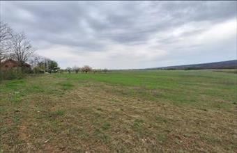 Eladó Gödöllői termőföld, szántó hirdetés (26387737)