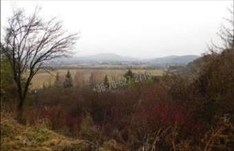 Eladó Recski egyéb telek hirdetés (91111297)