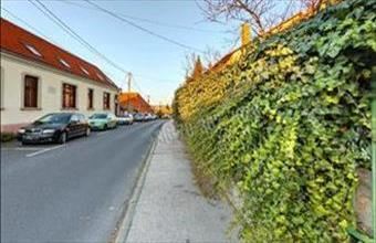 Eladó Tatai családi ház hirdetés (14824573)