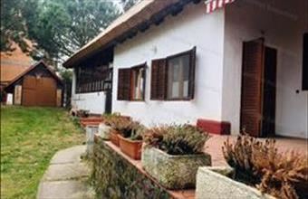 Eladó Alsóörsi családi ház hirdetés (47394659)