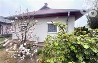 Eladó Cserkeszőlői családi ház hirdetés (47839884)