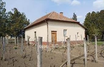 Eladó Csanyteleki családi ház hirdetés (29444497)