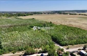 Eladó Gyömrői fejlesztési lakóterület hirdetés (42825835)