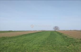 Eladó Polgárdi lakóövezeti telek hirdetés (37478453)