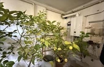 Eladó Pécsi családi ház hirdetés (62234245)