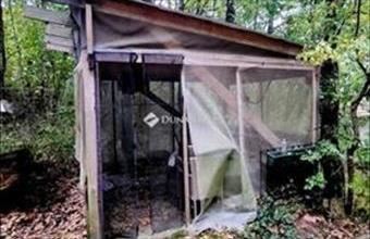 Eladó Kismarosi hétvégi ház hirdetés (78283467)