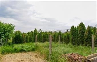 Eladó Szegedi családi ház hirdetés (49667223)