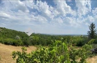 Eladó Váci lakóövezeti telek hirdetés (33374525)