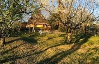 Eladó Mogyoródi családi ház hirdetés (55879483)