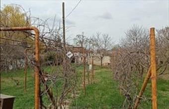 Eladó Szegedi hétvégi ház hirdetés (52796353)