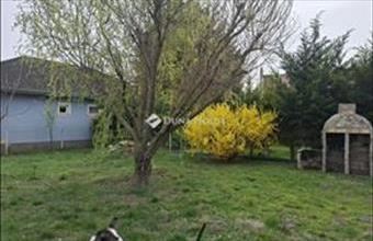 Eladó Kiskunlacházai családi ház hirdetés (43132331)