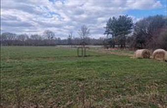 Eladó Magyarföldi lakóövezeti telek hirdetés (41391394)