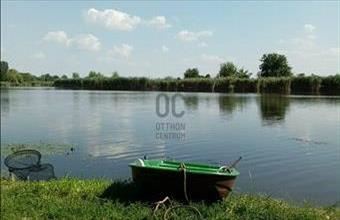 Eladó Tiszapüspöki tanya hirdetés (85925568)