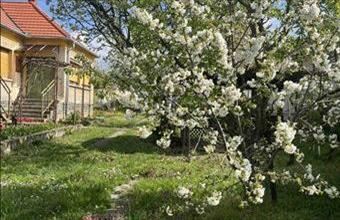 Eladó Gyulakeszi családi ház hirdetés (28271343)