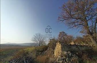 Eladó Dörgicsei hétvégi ház hirdetés (71852877)