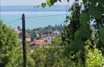 Eladó Balatonalmádi családi ház hirdetés (35296777)