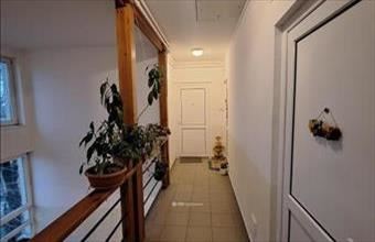 Eladó Lajosmizsei egyéb lakás hirdetés (45984713)