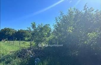 Eladó Ceglédi egyéb telek hirdetés (71792279)