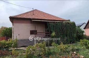 Eladó Jászberényi családi ház hirdetés (35553376)