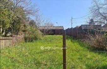 Eladó Dunavarsányi üdülőövezeti telek hirdetés (39275365)