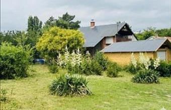 Eladó Adonyi üdülőövezeti telek hirdetés (65297544)