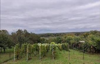 Eladó Kulcsi üdülőövezeti telek hirdetés (46838358)