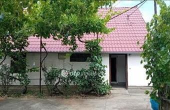 Eladó Röszkei egyéb mezőgazdasági ingatlan hirdetés (83547429)