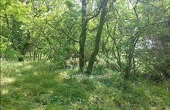 Eladó Dóci egyéb mezőgazdasági ingatlan hirdetés (13747729)